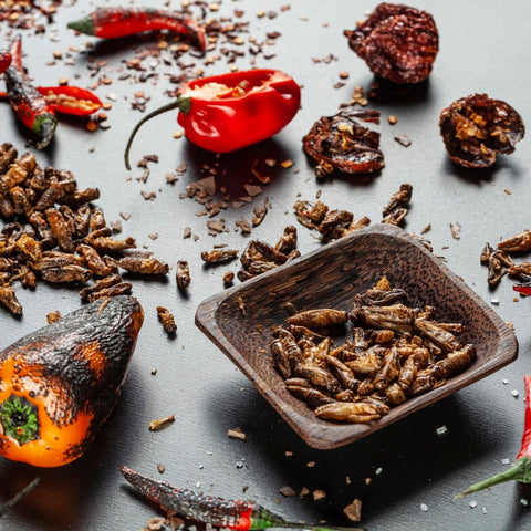 Pražení cvrčci nejvýhodněji - Chipotle