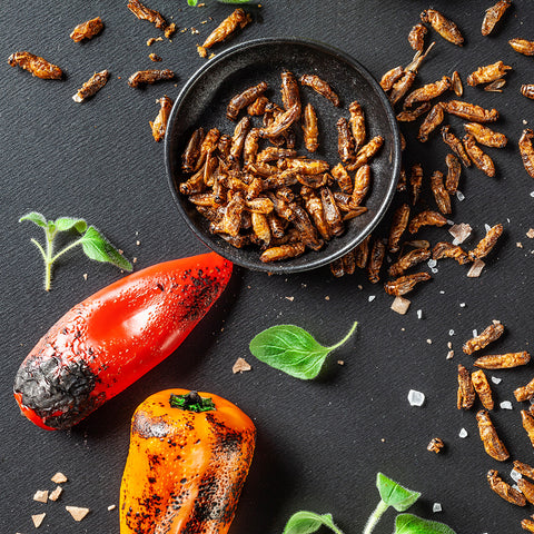 Pražení cvrčci nejvýhodněji - BBQ paprika