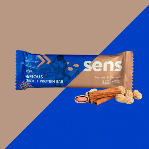 Serious protein tyčinky s cvrččím proteinem - Arašídy & Skořice